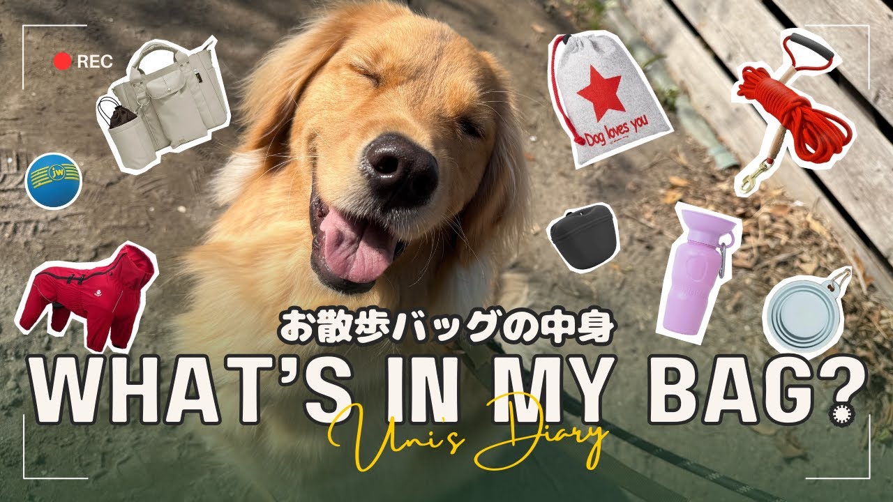 【大型犬散歩バッグ】中身紹介とおすすめのバッグ・グッズの紹介【What’s in my bag?】