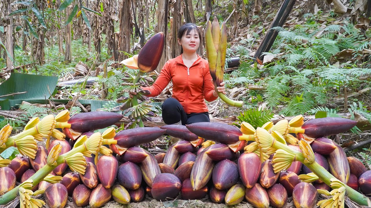 Picking Lots Of Wild Banana Flowers In The Forest Go To Market Sell - Weeding The Field Edges