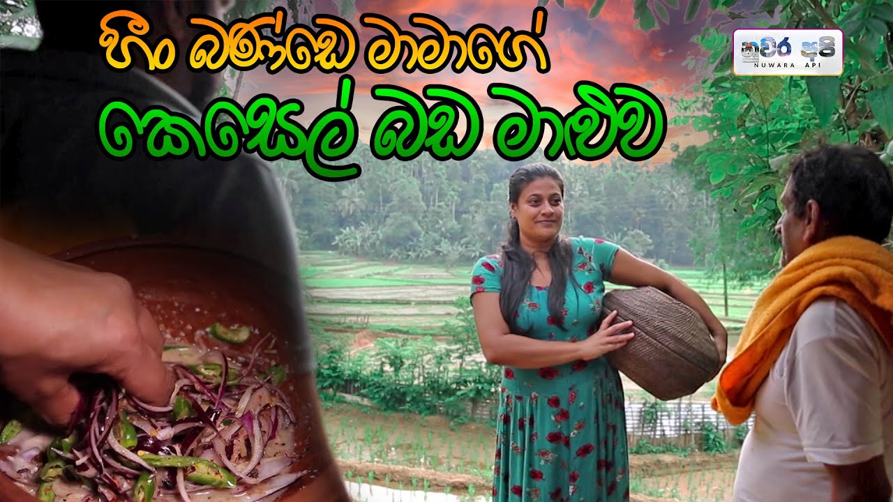 හීං බණ්ඩා මාමාගේ කෙසෙල් බඩ මාළුව | banana belly curry ‍| Nuwara Api Kitchen