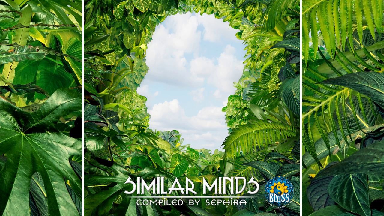 Delightful Imperfections - Faze (Sephira Remix)