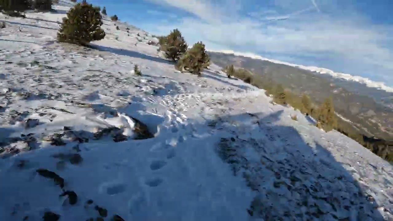 Chief Mountain February 15 2026 Fast