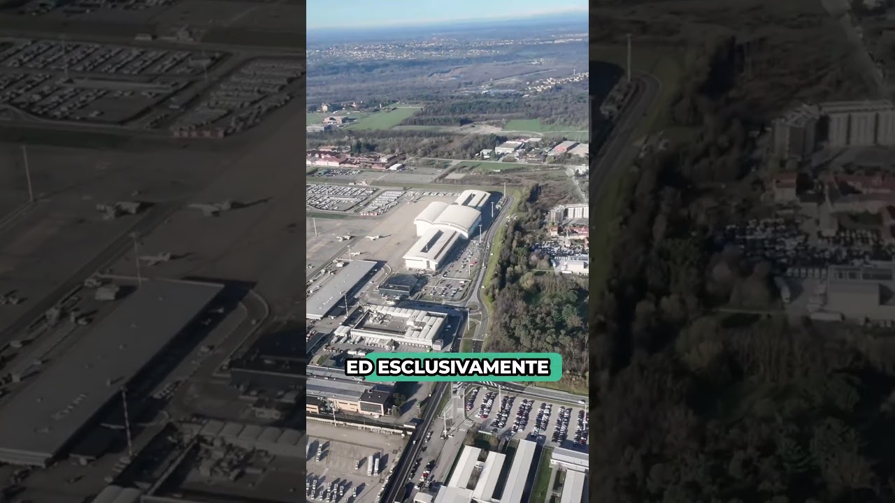 Ma Barbone, che lavoro fai?!