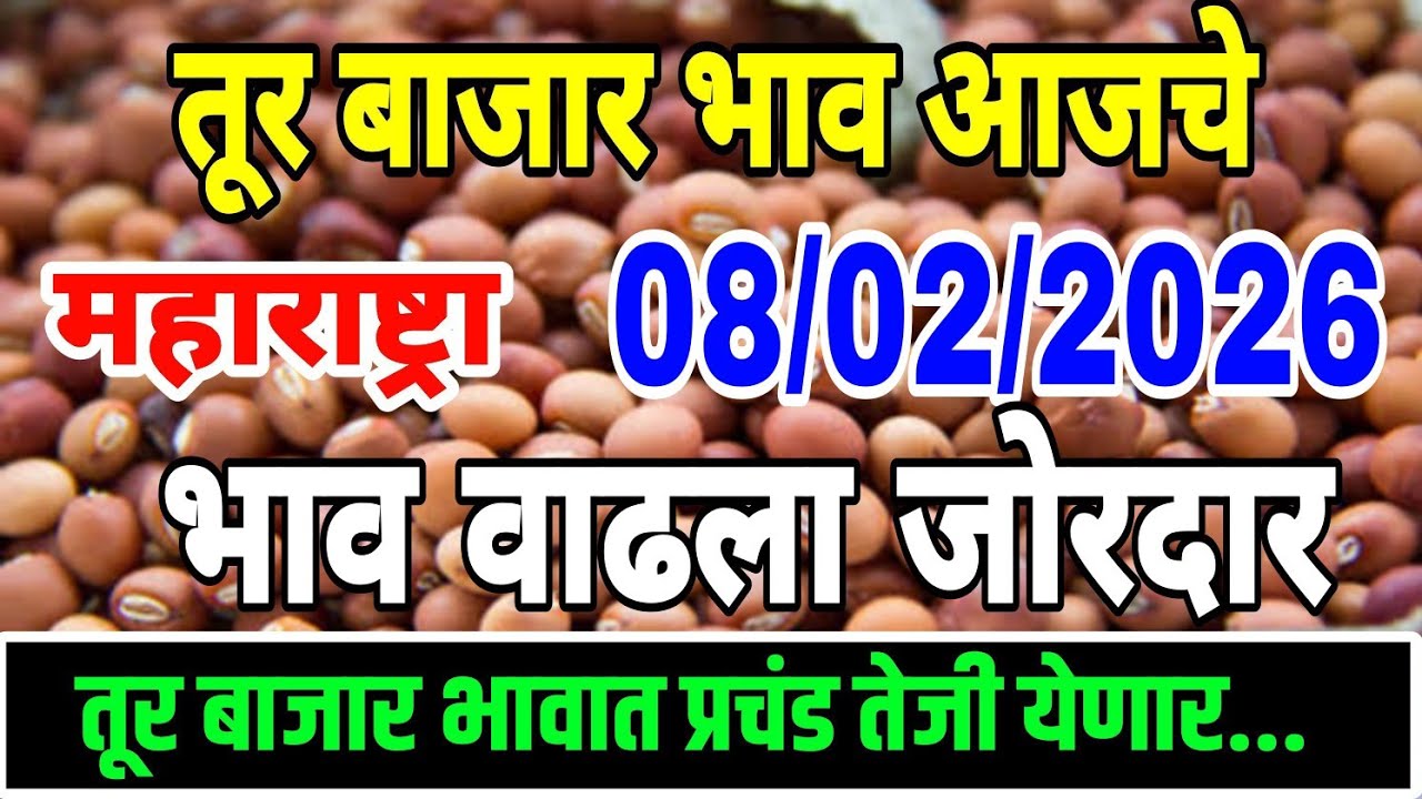 तूर बाजार भाव वाढले 08 फेब्रुवारी 2026 / Tur bhazar bhav today / महाराष्ट्रा तूर भाव असे..तेजी येणार