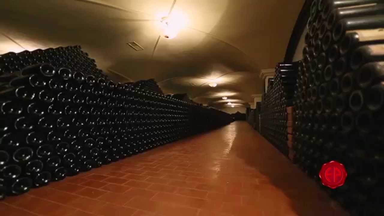 Emidio Pepe: 50 Vintages