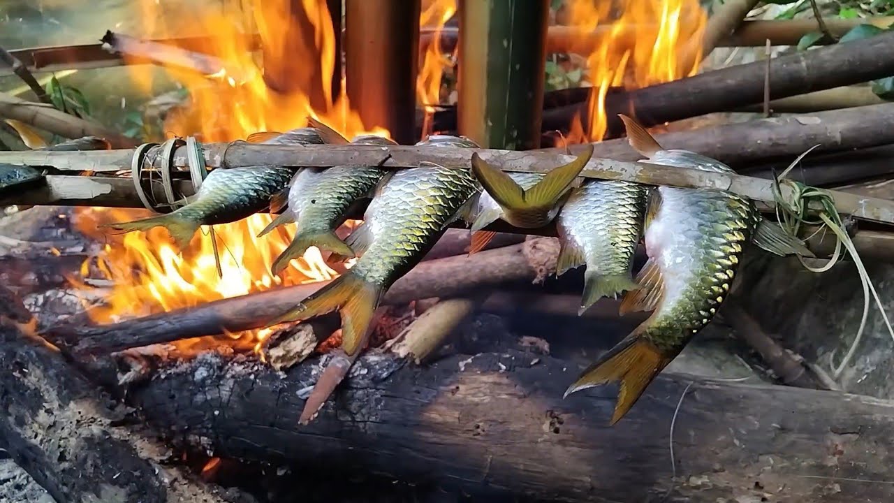 Năm mới cùng anh em đi suối rừng bắt cá nấu ống tre.