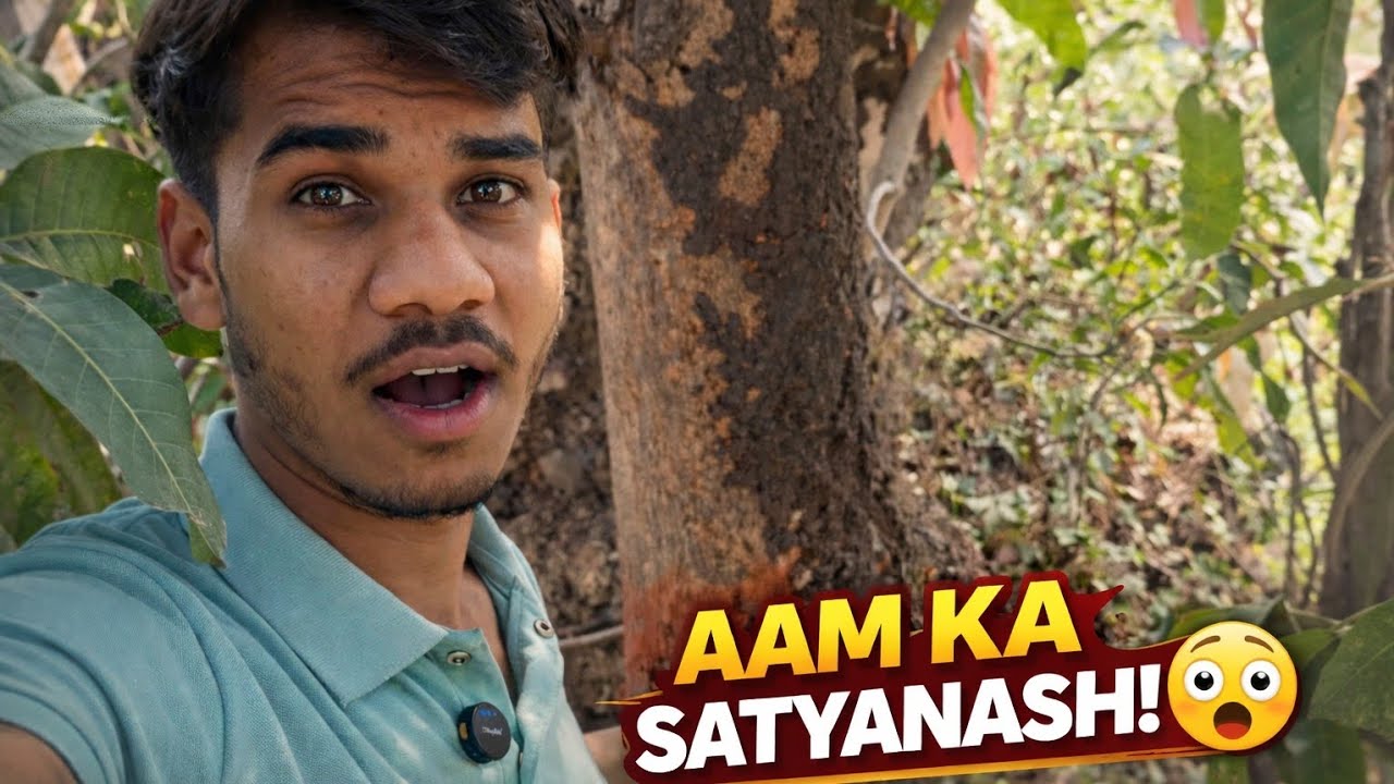 Aam Ka Satyanash? 😱 Ped Par Achanak Ye Kya Ho Raha Hai!
