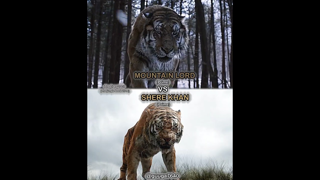 #MountainLord VS #ShereKhan #thetiger#junglebook#disney#edit#wis #whoisstrongest#shorts@guuga7640⁩