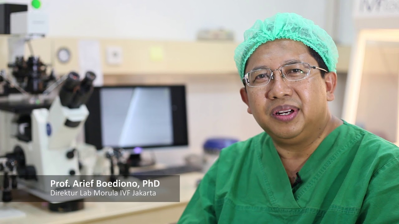 MORULA IVF JAKARTA