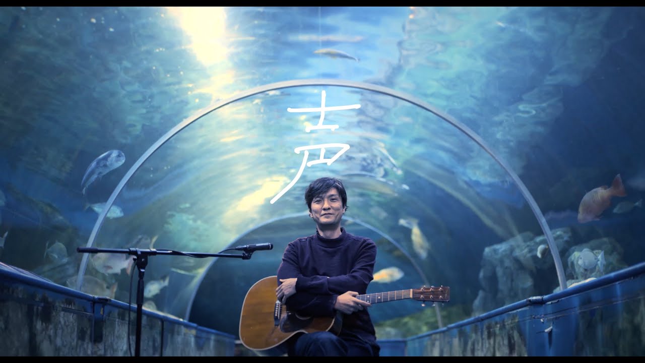 森山直太朗 - 声 / にっぽん百歌【水族館】
