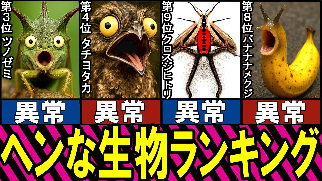 【閲覧注意】ヘンな生き物 TOP10【ゆっくり解説】【総集編】