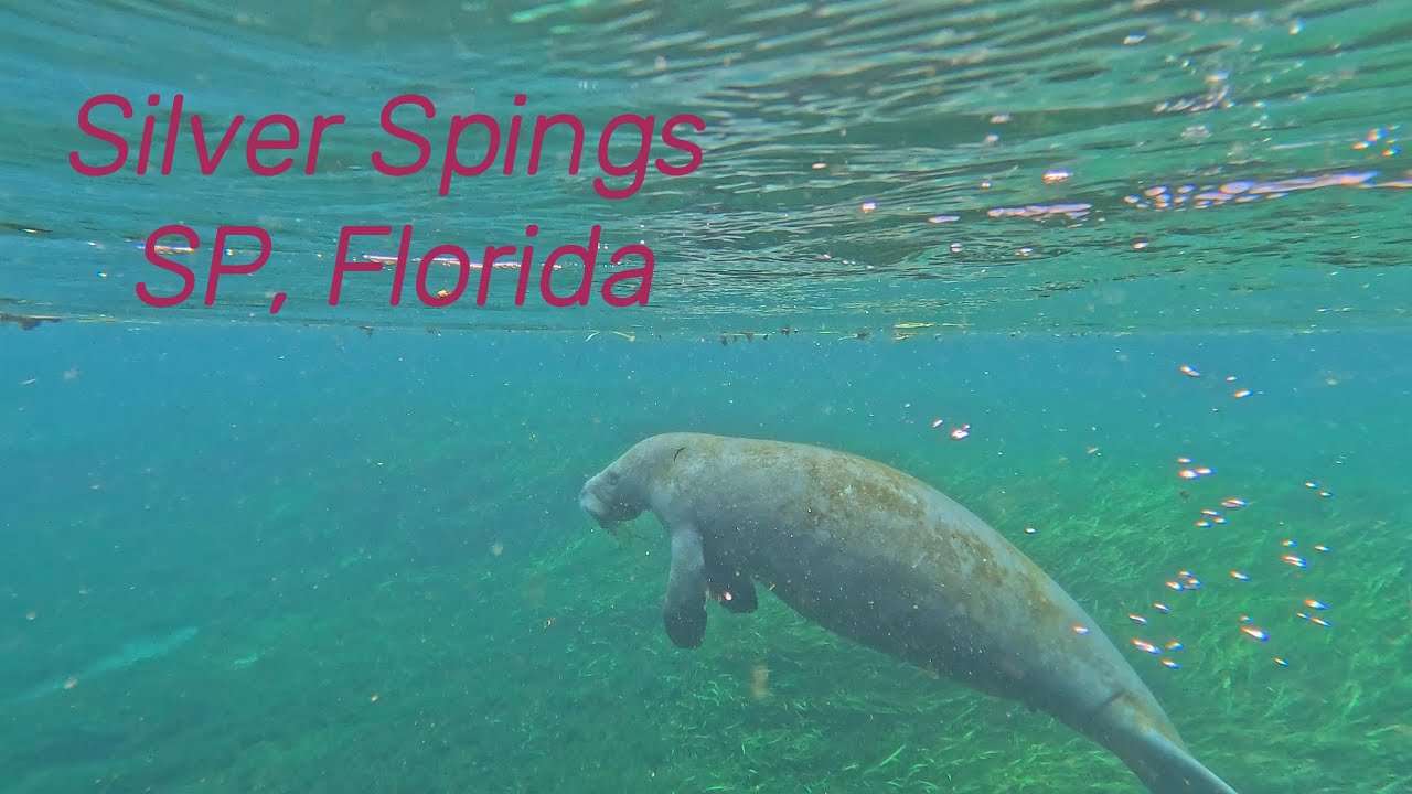 Silver Springs SP, Florida