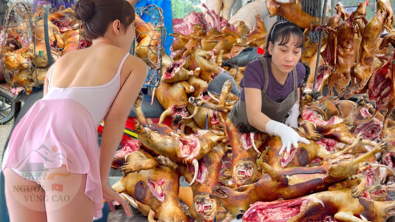 Sau Tết - Thị trường thịt ch.ó sôi động trở lại - chủ quán chặt mỏi tay