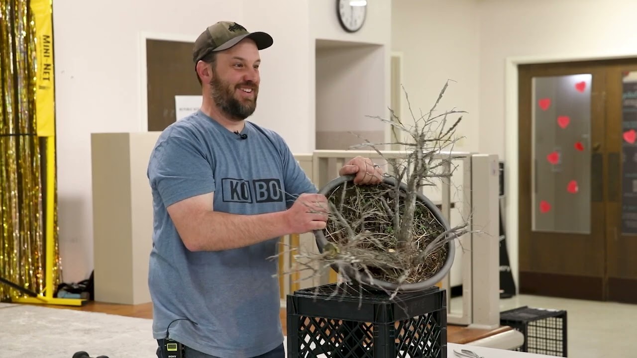 SABS Guest Artist - Zach Adamz of Komorebi Bonsai - Texas Cedar Elm