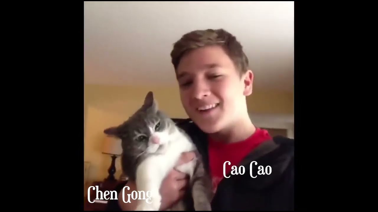 three kingdoms but it's vines