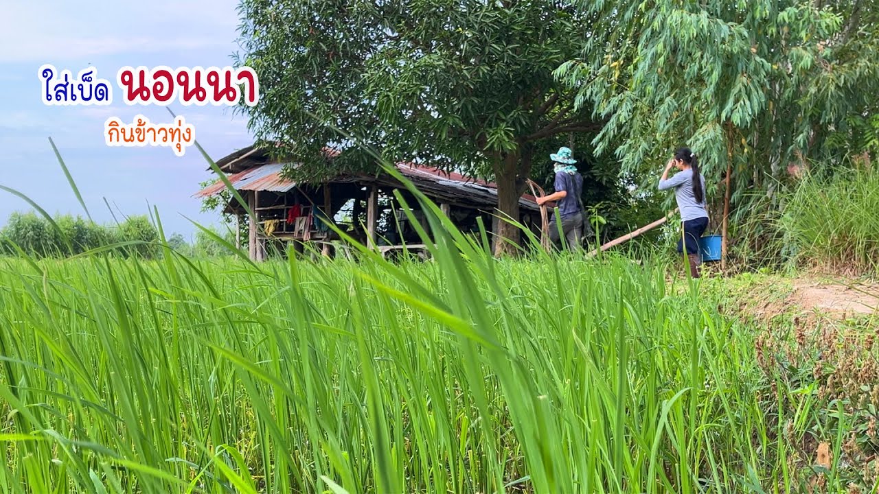 ใส่เบ็ดนอนนากินข้าวทุ่ง  รอบนี้ได้กินแกงปลาสมใจ