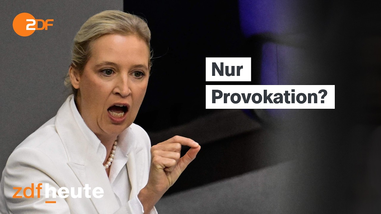 P&ouml;beln f&uuml;r Klicks: Verroht der Ton im Bundestag? | ZDF Berlin Direkt