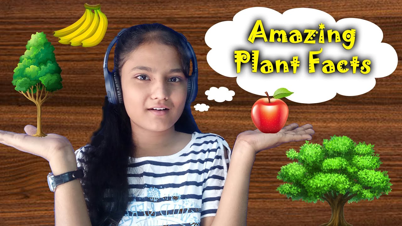 Top 10 Unknown Plant Facts in the world || Factube ||😱