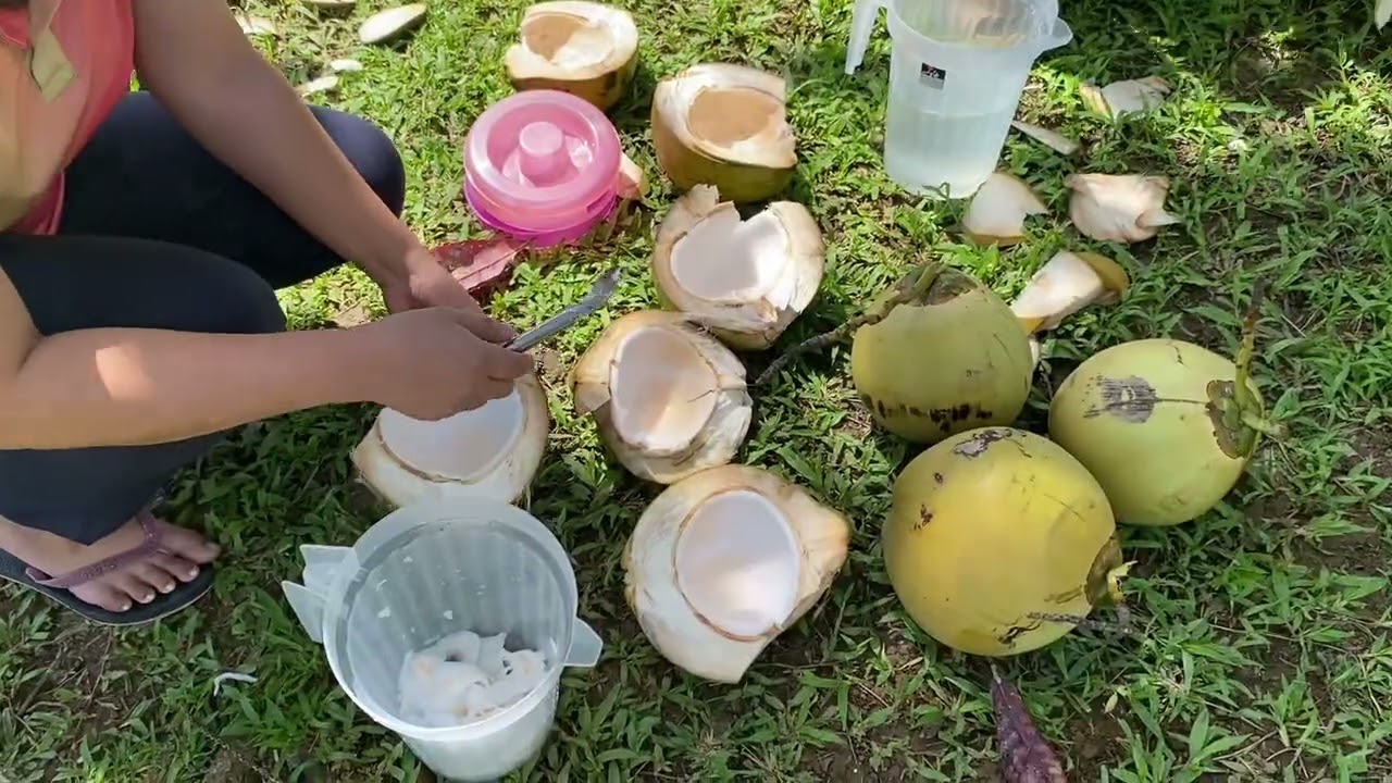 Refreshing #coconut #teacher #teacherlife 