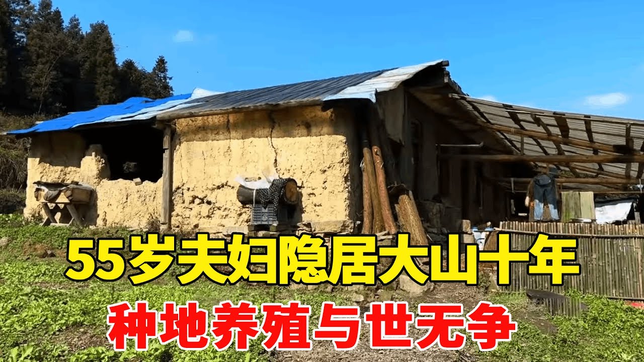 探访贵州深山里的独户人家，55岁夫妇隐居大山十年，种地养殖与世无争 !【乡村阿泰】
