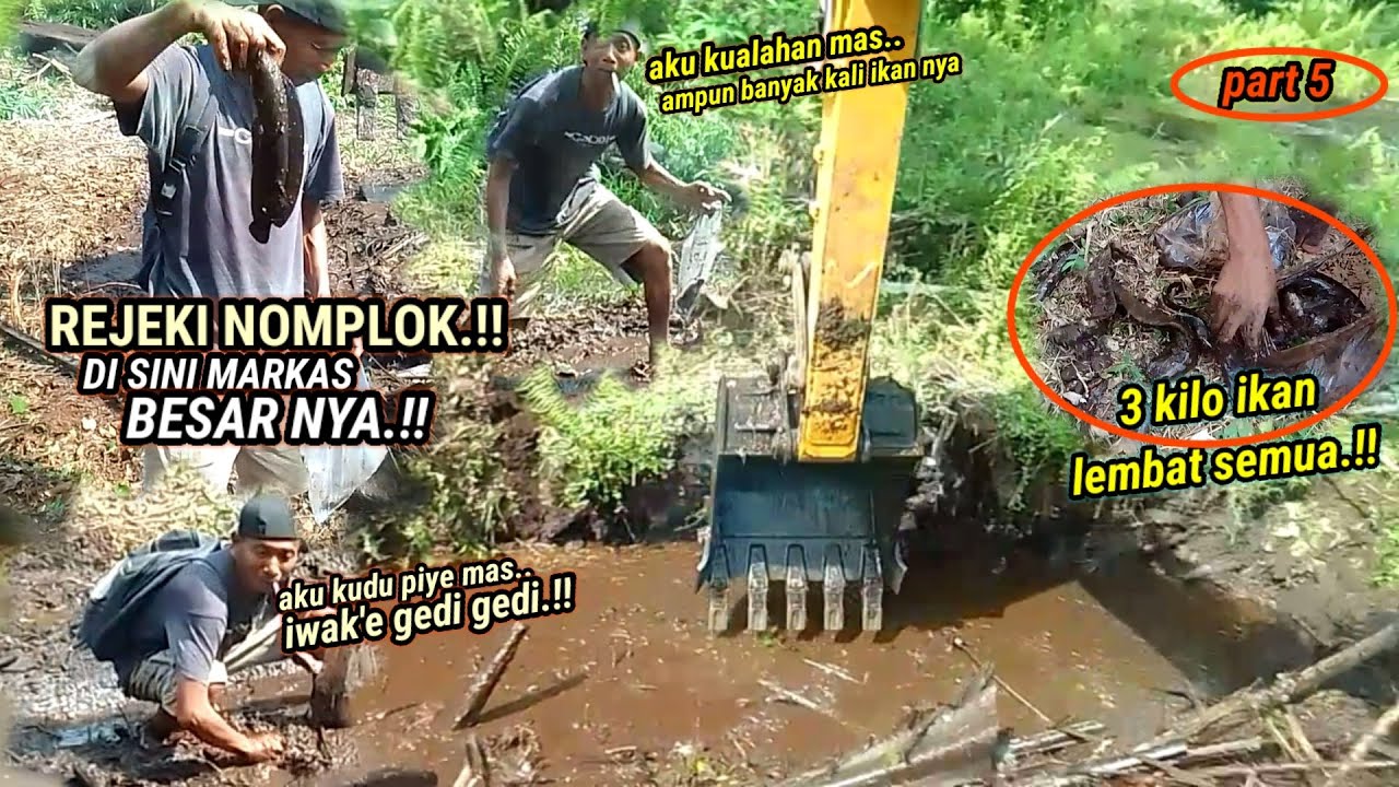 Di balik sisa genangan air dalam parit ini ternyata markas besar ikan pada kumpul