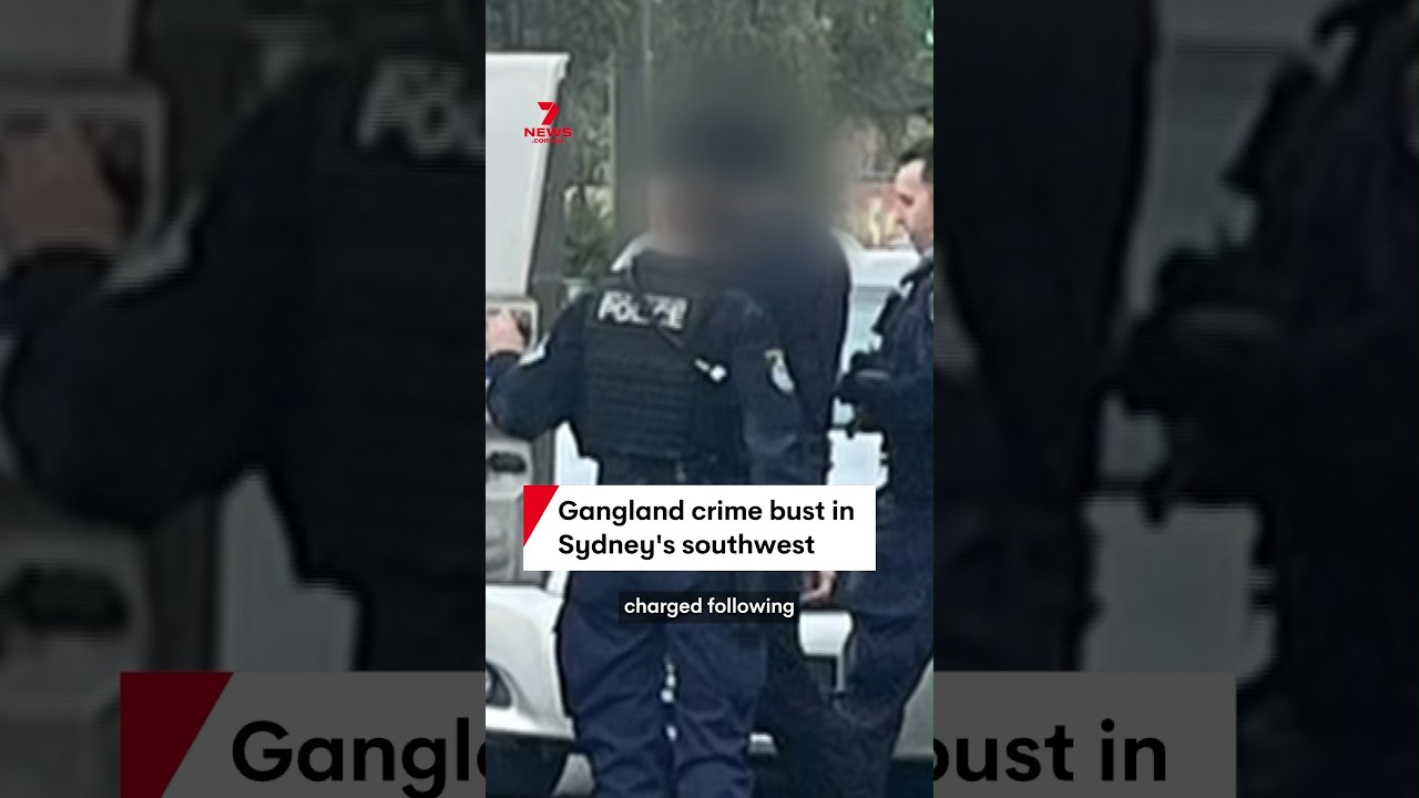 Sydney police seize weapons, cash and mobile phones during Punchbowl raid