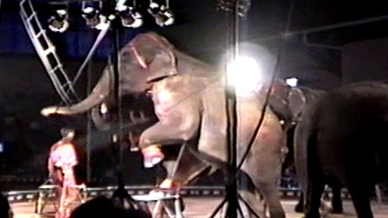 Circus 1986