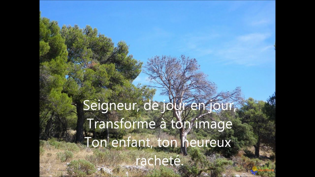 Tu payas mon salut - Les p&egrave;lerins du pays de Montb&eacute;liard