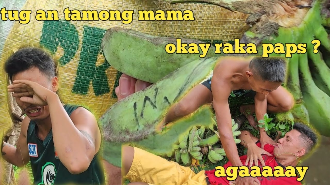 Agaw nga probinsyano Part 2 