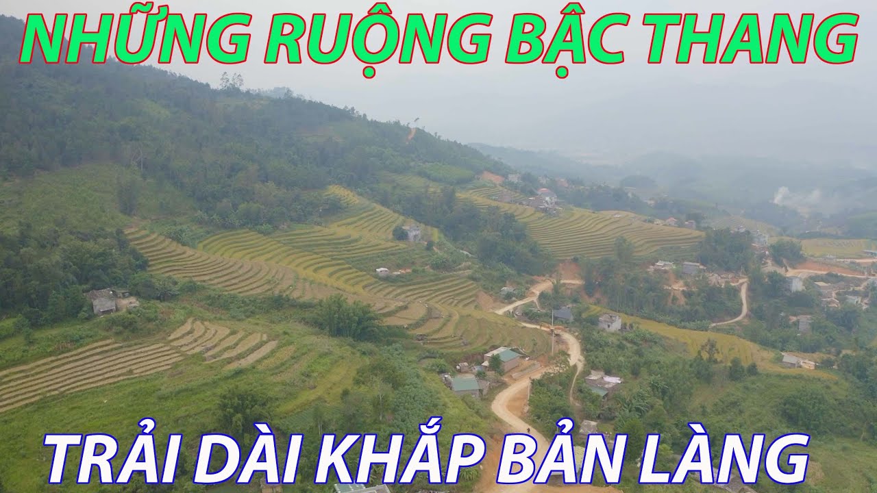 Потрясающие террасные рисовые поля в деревне Као Тханг, район Бинь Льеу, провинция Куанг Нинь (Fl...