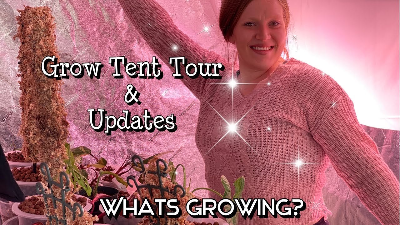 Vivosun Grow Tent Update & Plant Tour! ||RARE PLANTS in my Grow Tent||