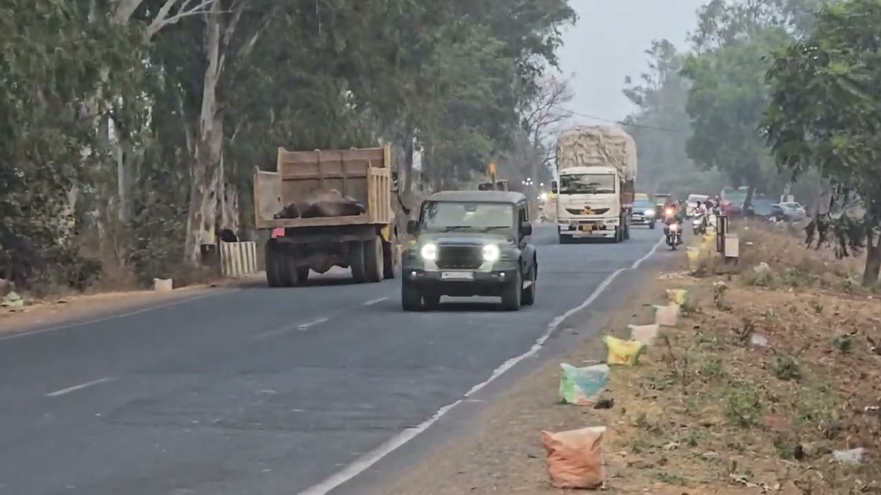 Development ke naam par vriksh kaate jaa rahe hai #savetrees #environment