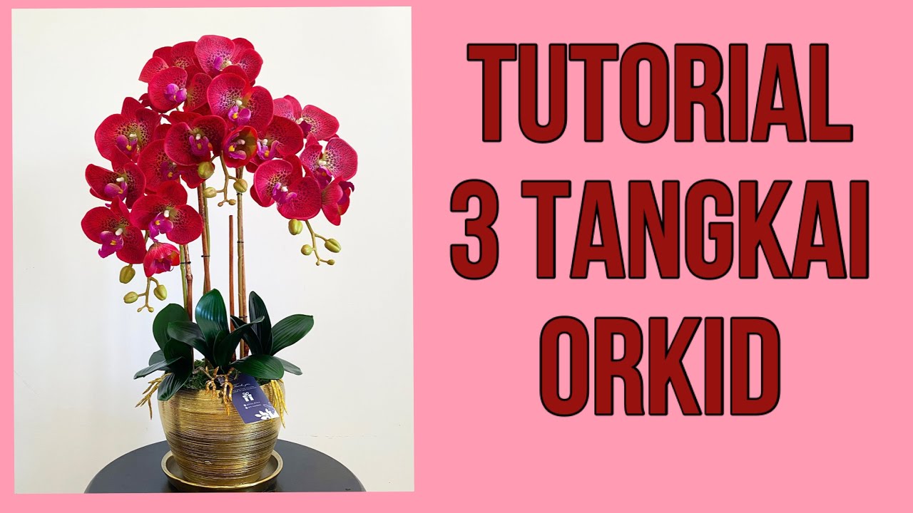GUBAHAN ORKID 3 TANGKAI #orkid #orkidhiasan #orkidcantik #anggrek