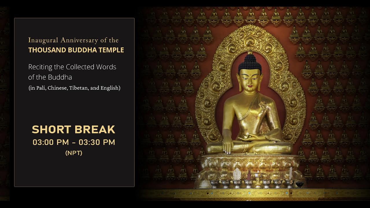 Reciting the Collected Words of the Buddha at PTSL - 2025 (Day 2)