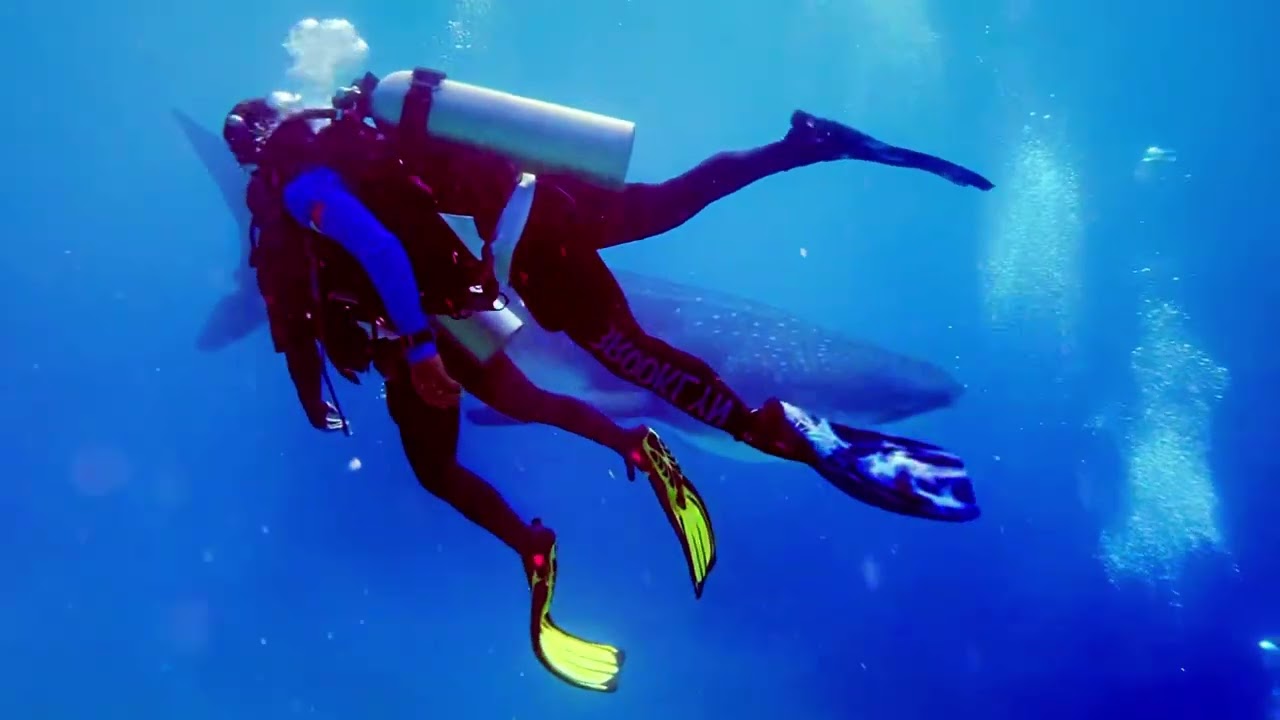 Southseas Dive Center in Santander Cebu - Philippines