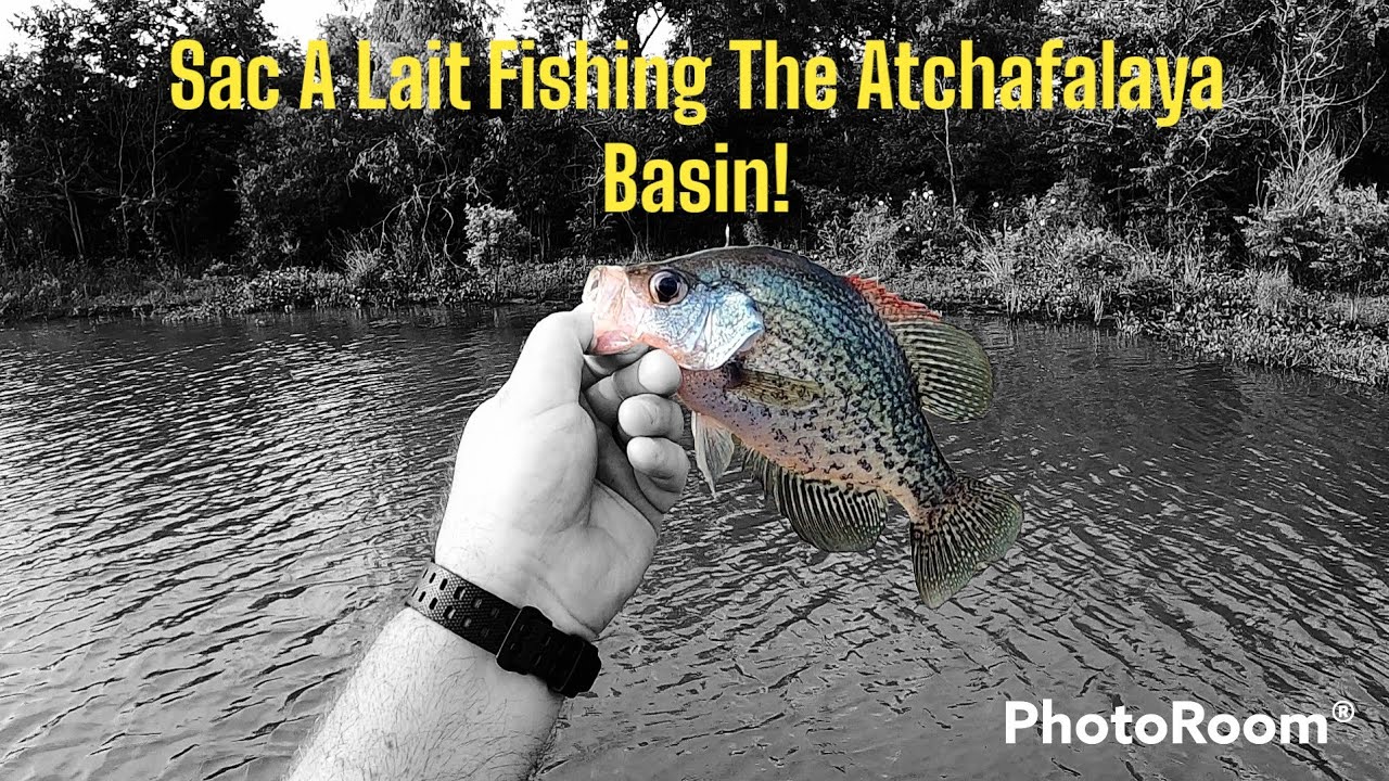Pan Fishing Bayou Pigeon Louisiana 2022!