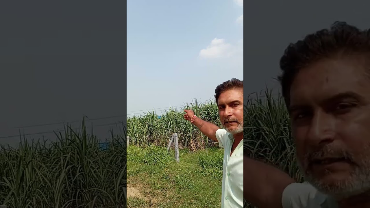 102 Bigha land on NH-58, Near Ruhasa-Sakauti Meerut With 110ft front #land #meerutpropertyforsale