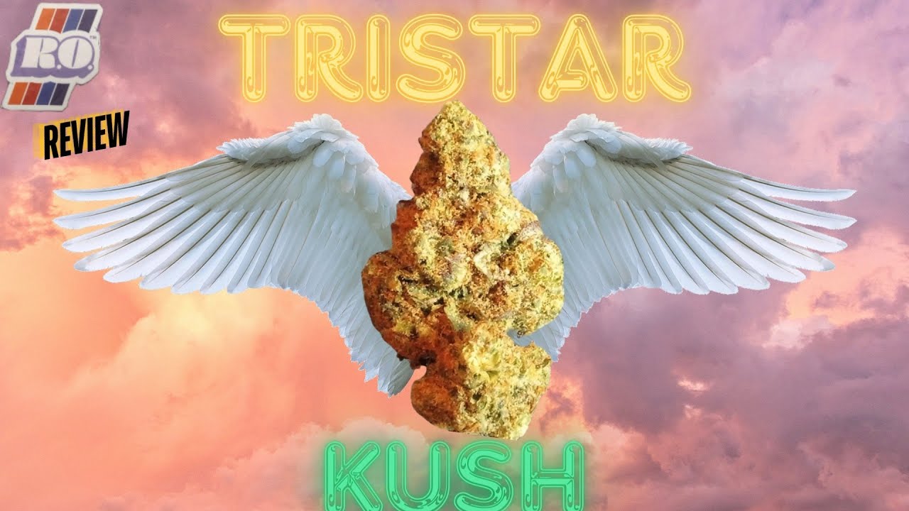 RO Tristar Kush Flower Review
