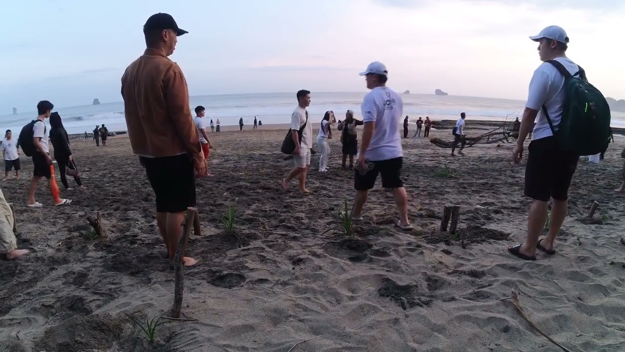 JCI EJ Turtle Release and Planting Mangroove 12 Jul 2025