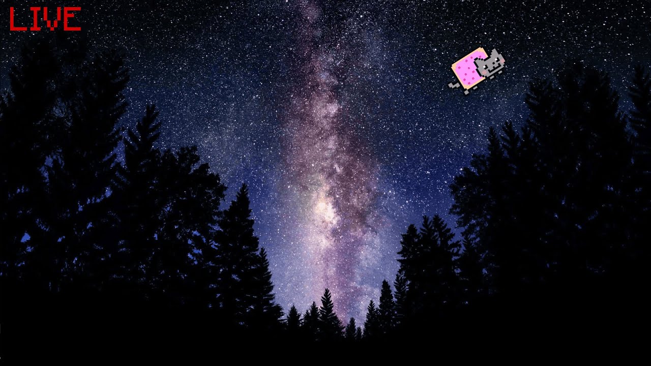 Япіііі ^w^