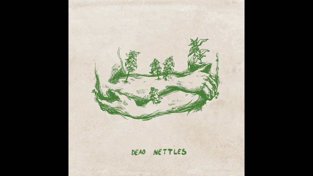 Dead Nettles - The Low Blow (OFFICIAL AUDIO)