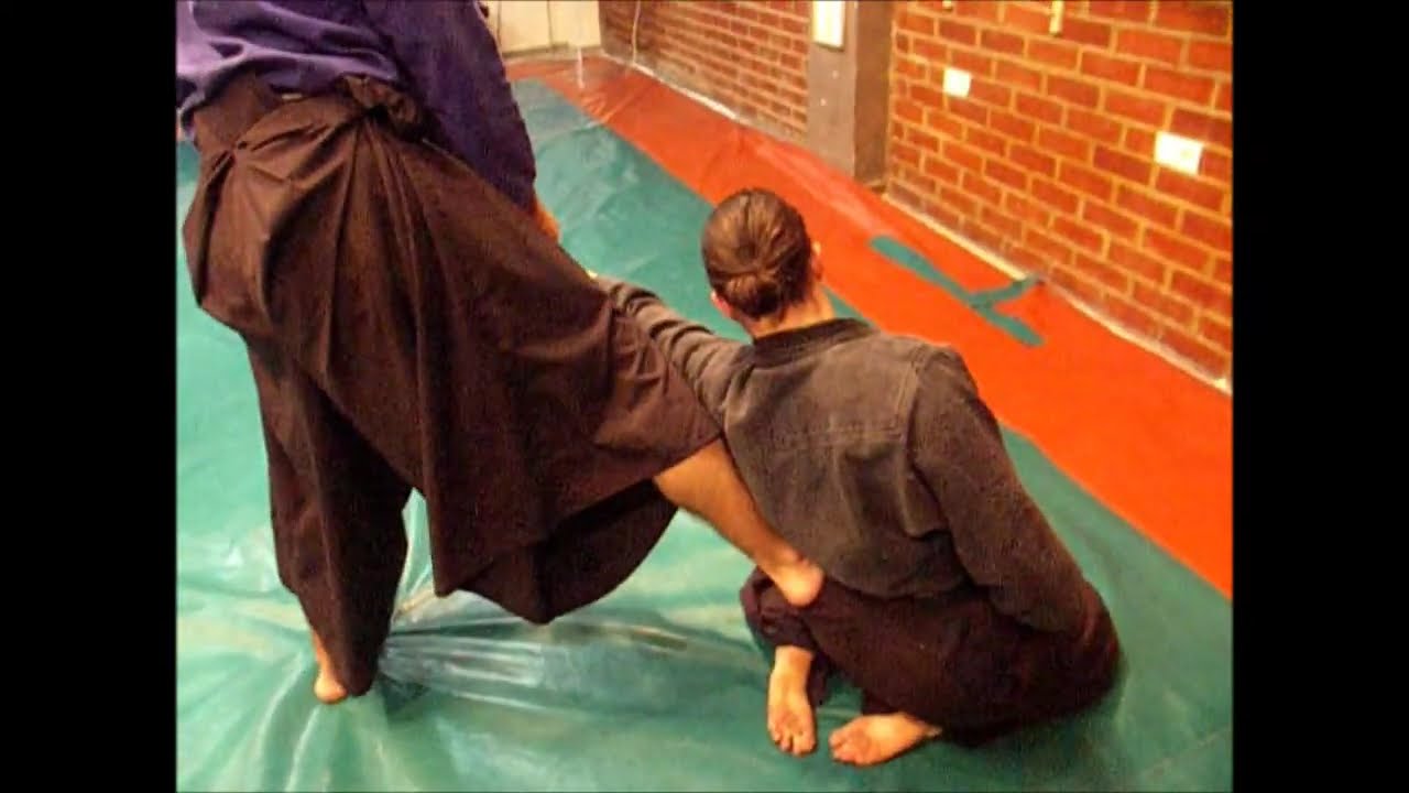 Ogawa Ryu - 合気柔術  二本目 Aikijujutsu -  Nihon Me - 2015