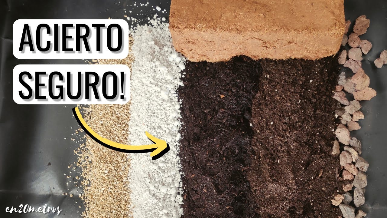 La MEZCLA PERFECTA de TIERRA para MACETAS: sustrato de cultivo, semilleros y plantas || en20metros