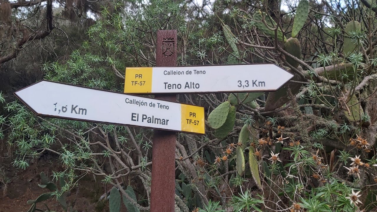 Teno Alto, hike to the top and roundtrip on the top