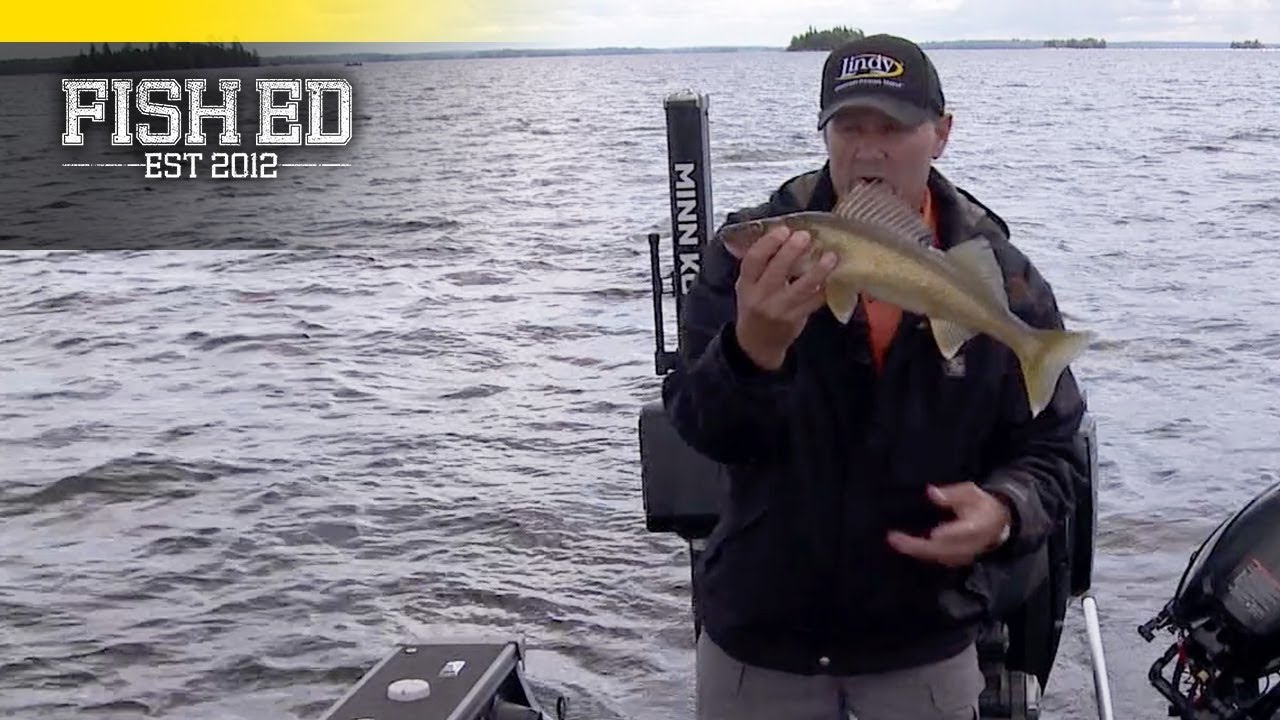 How To Fish A Reef