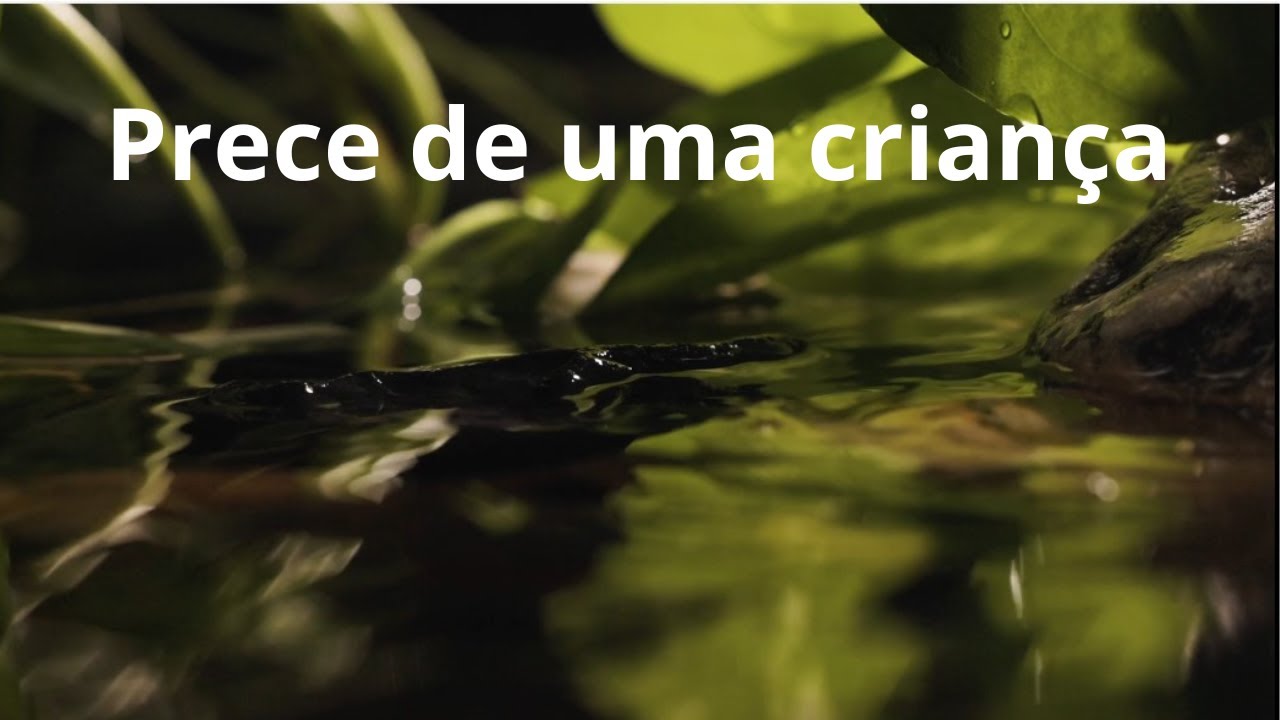 Prece de uma criança - Momento Espírita