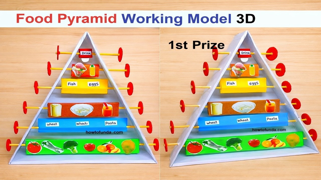 food pyramid working model 3d for class 9 and class 10th | TLM | howtofunda @craftpiller