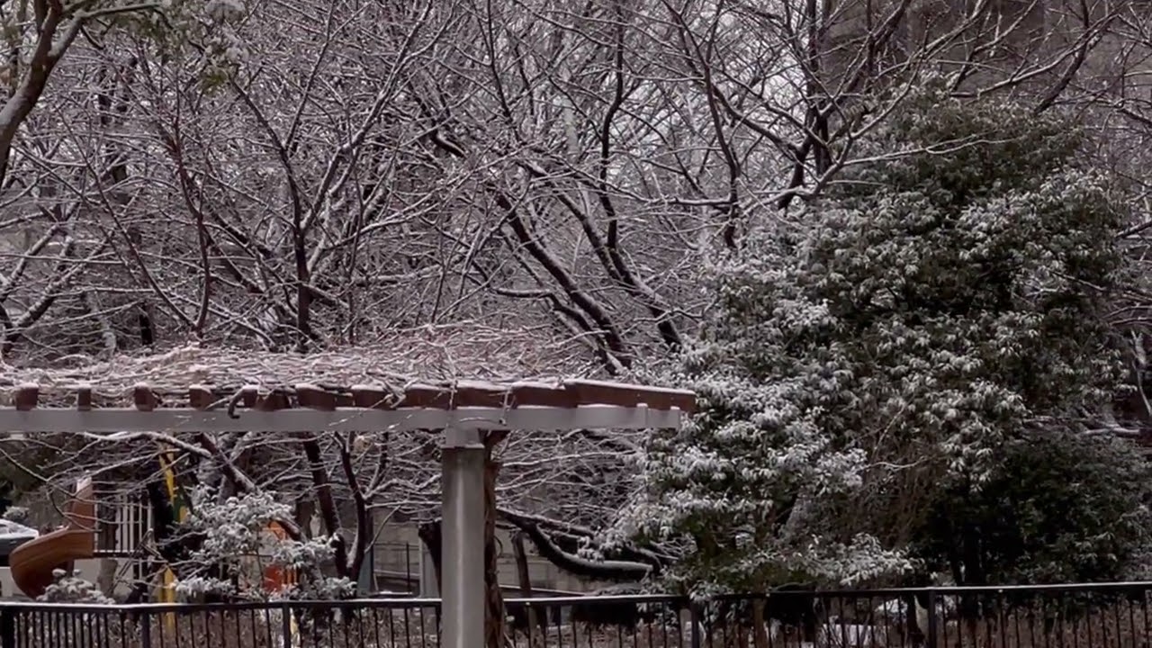 Snow covered.