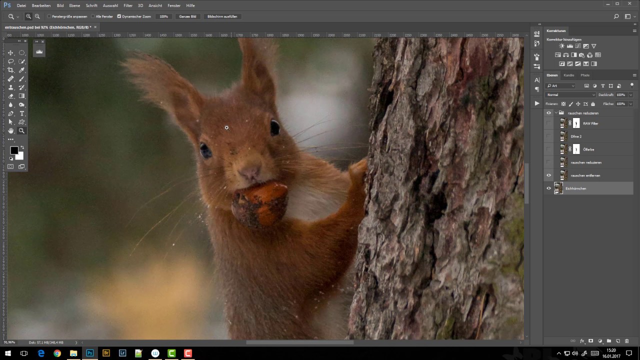 Methoden um Rauschen zu entfernen mit Photoshop CC  - Naturbilder-Magazin