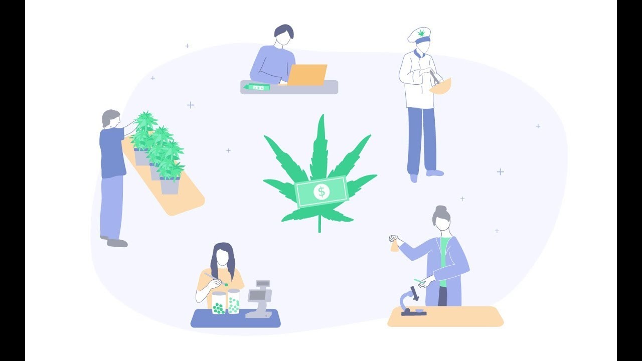The Best Marijuana Jobs & Salaries