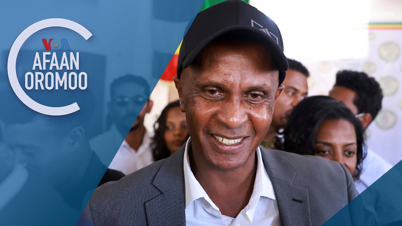 Tamsaasa Guyaadhaa Guyyaa